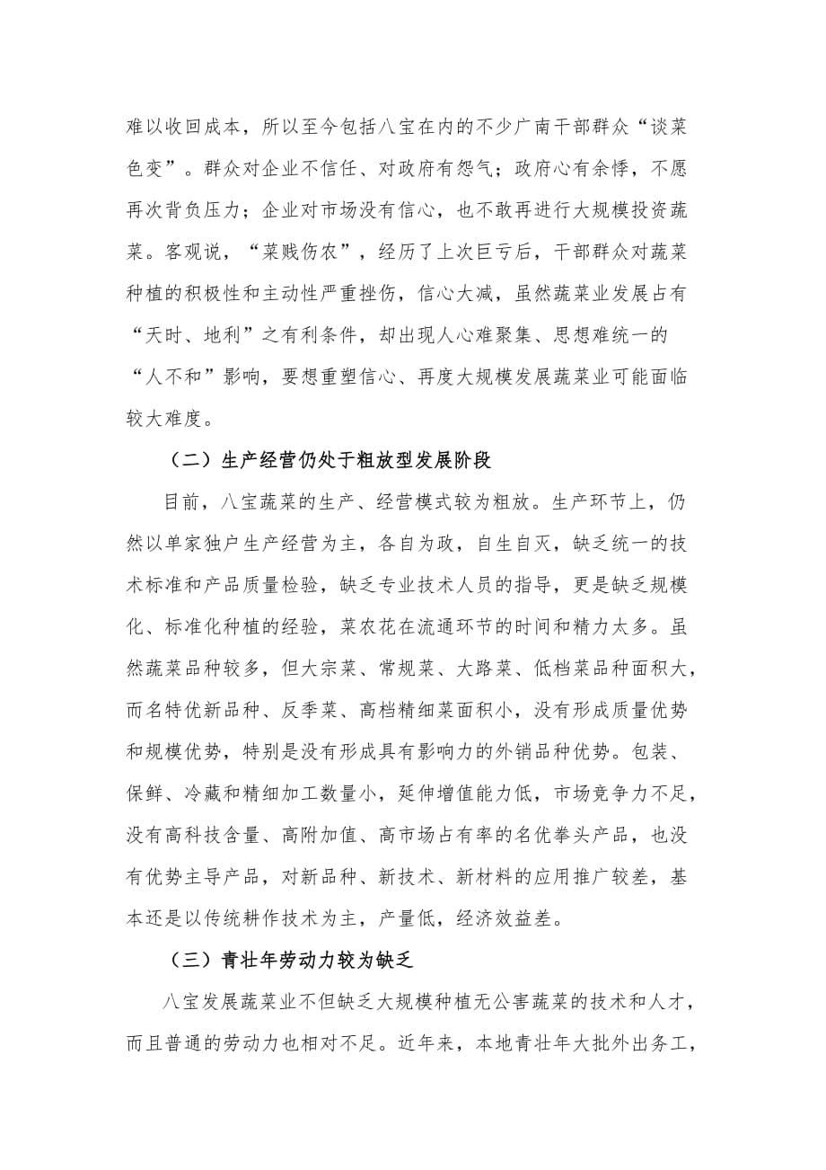 广南县八宝镇蔬菜业发展调研报告范本_第5页