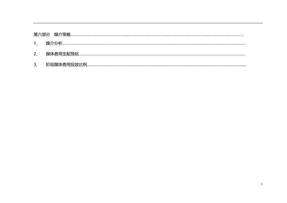 信谊置地广场营销推广执行策略_第5页