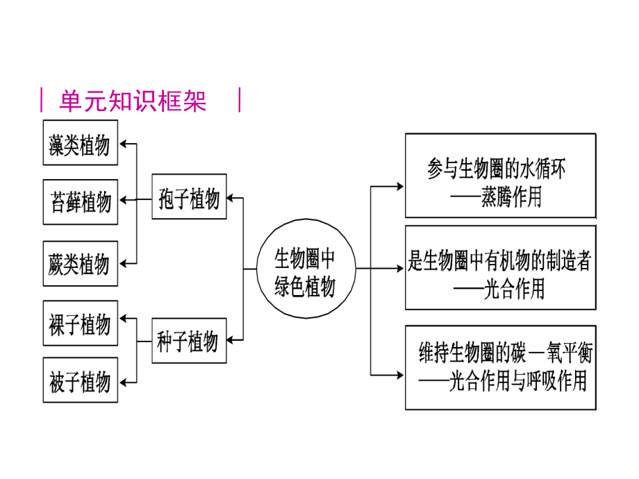 2012版中考二轮复习生物精品课件人教版(含2011中考真题)专题二生物圈中的绿色植物_第4页