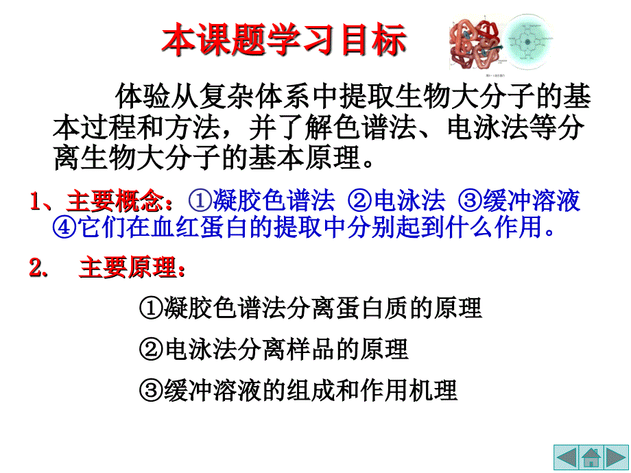 《血红蛋白的提取和分离-》课件_第2页