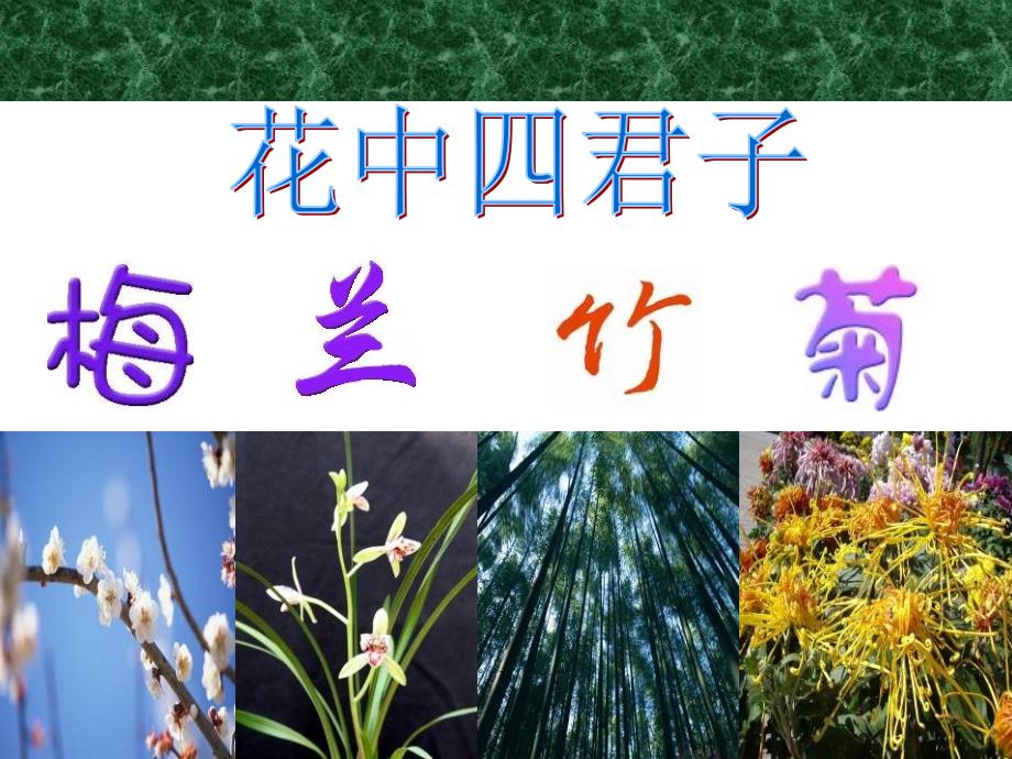 《竹林深处人家》_第3页