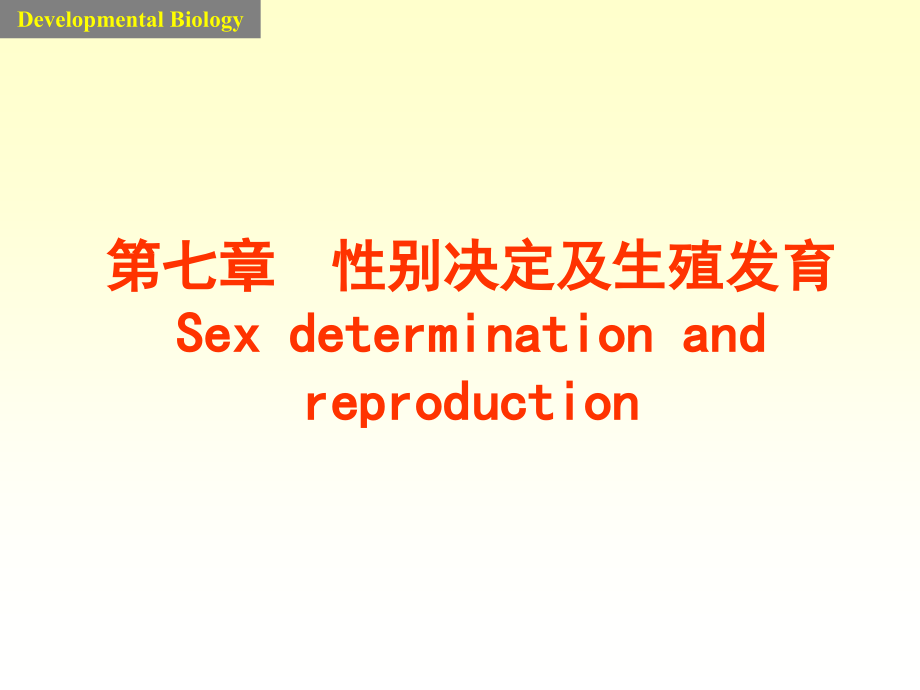 发育生物学7-性别决定_第1页