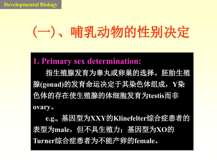 发育生物学7-性别决定_第3页