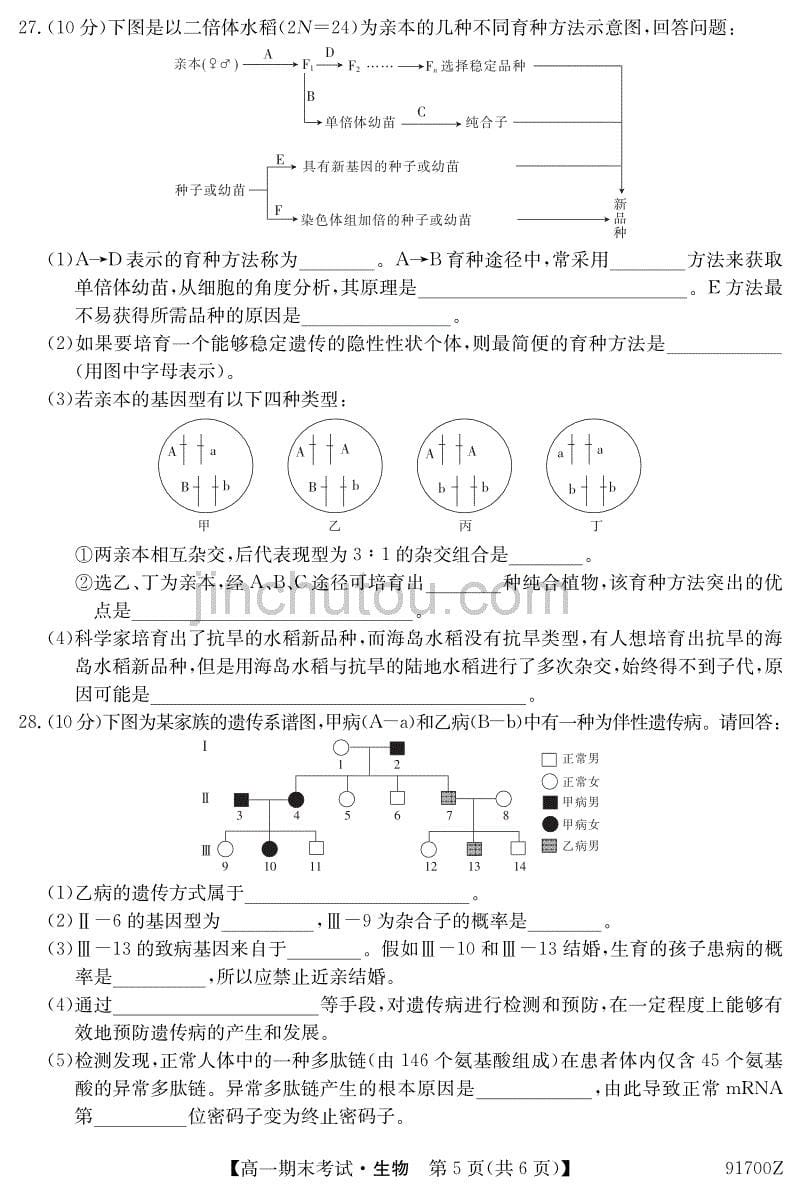 吉林省扶余市第一中学2018-2019学年高一下学期期末考试生物试题_第5页