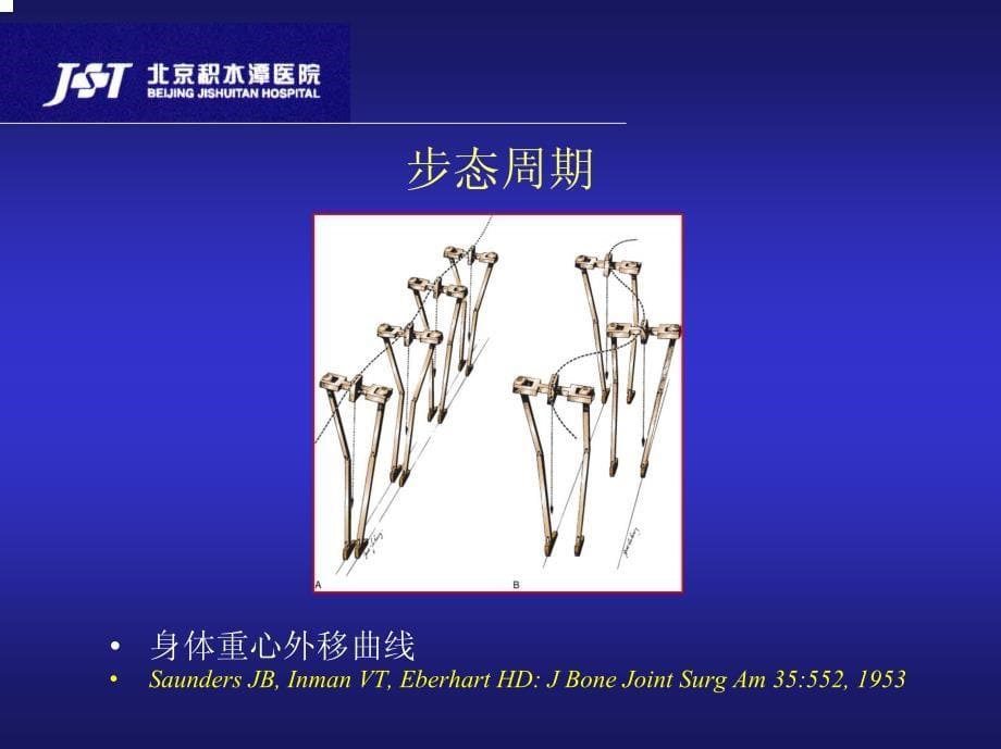 足踝功能解剖及手术入路积水潭医院课件_第5页