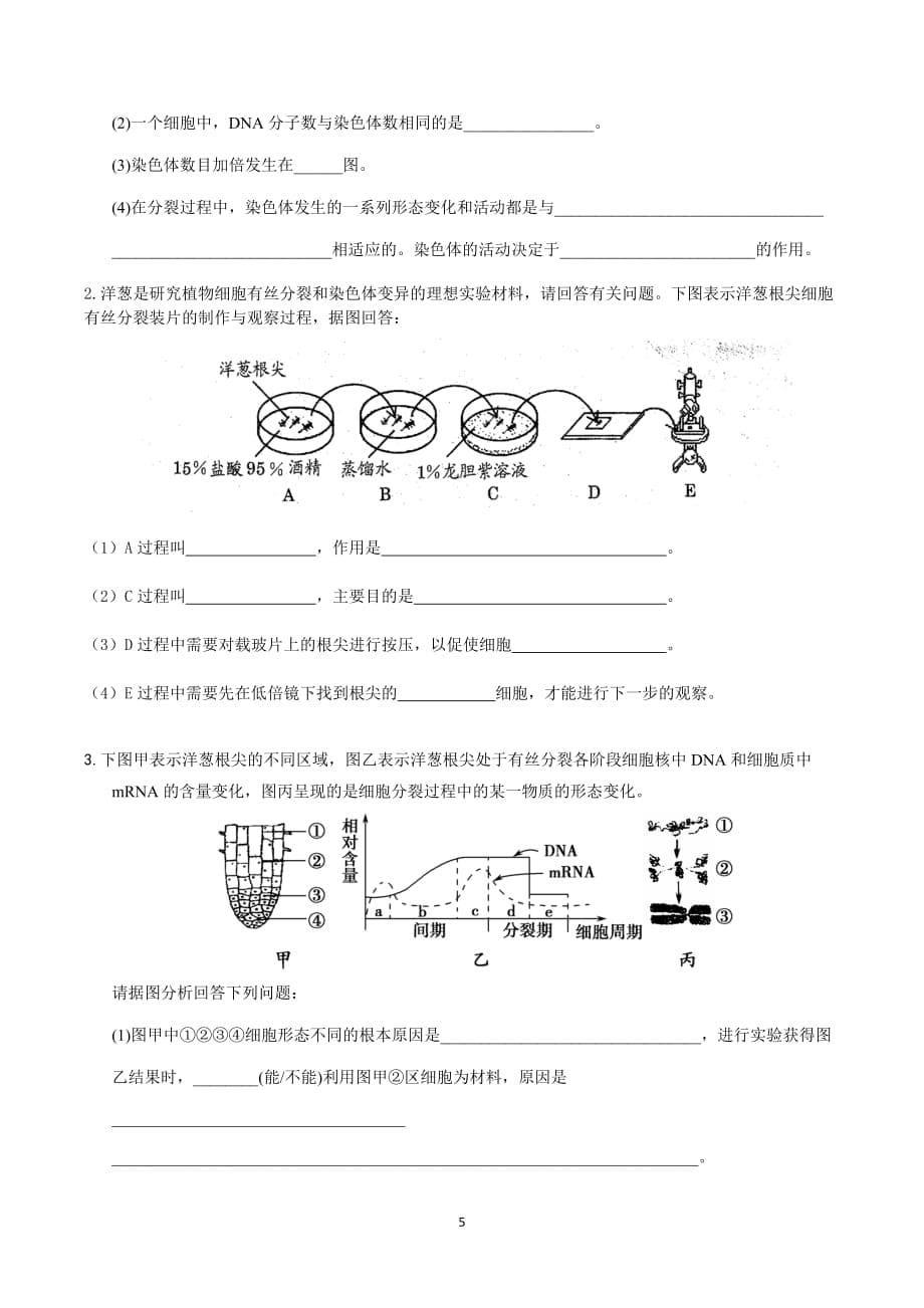 细胞的生命历程专题复习资料_第5页