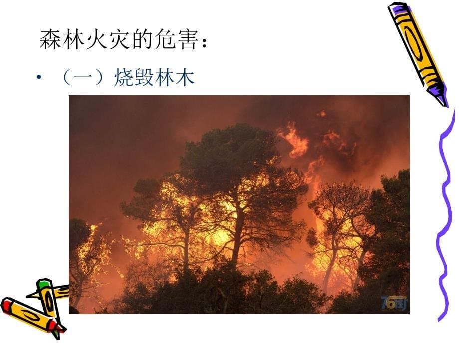 低段森林防火宣传_第5页
