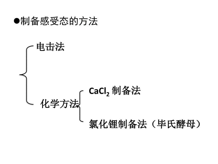 感受态细胞及其制备_第5页