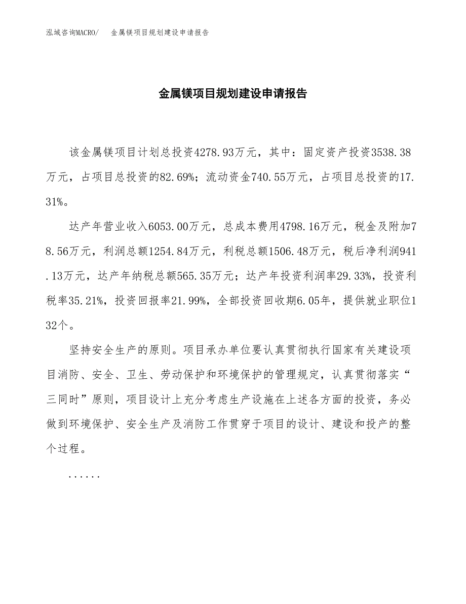 金属镁项目规划建设申请报告范文.docx_第2页