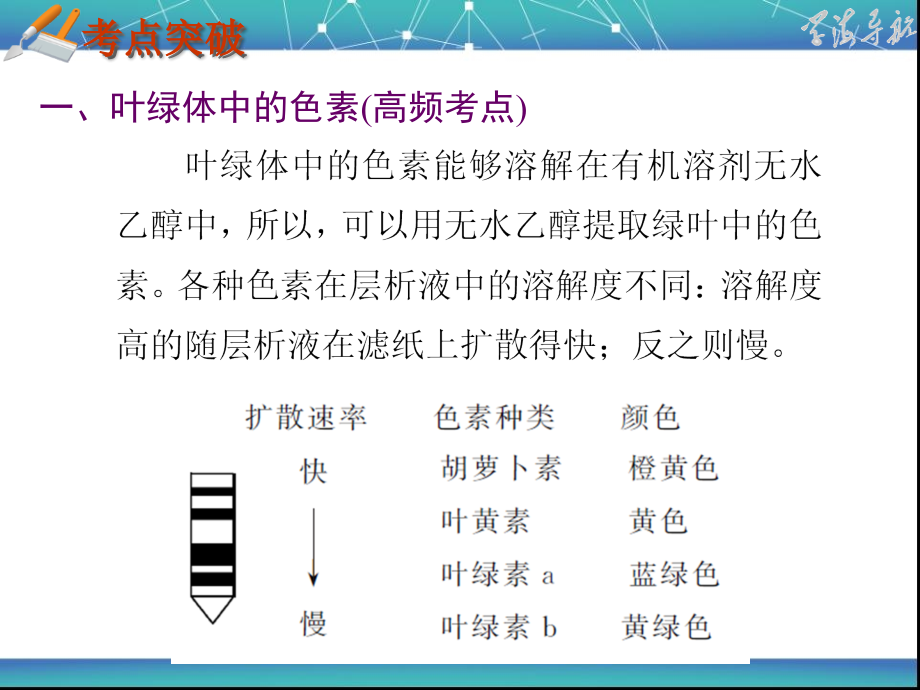 高考生物二轮专题复习课件-专题2-小专题5-光合作用_第2页