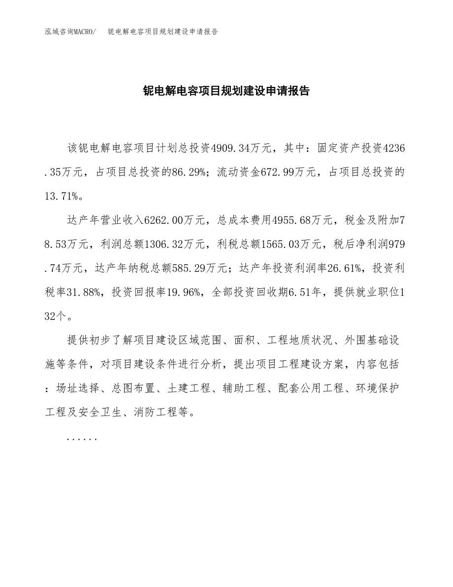 铌电解电容项目规划建设申请报告范文.docx_第2页