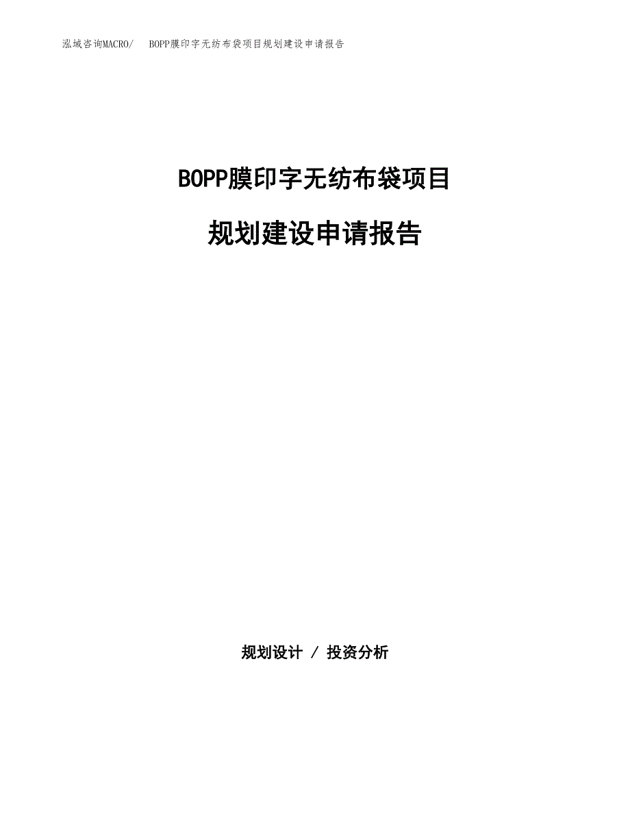 BOPP膜印字无纺布袋项目规划建设申请报告范文.docx_第1页