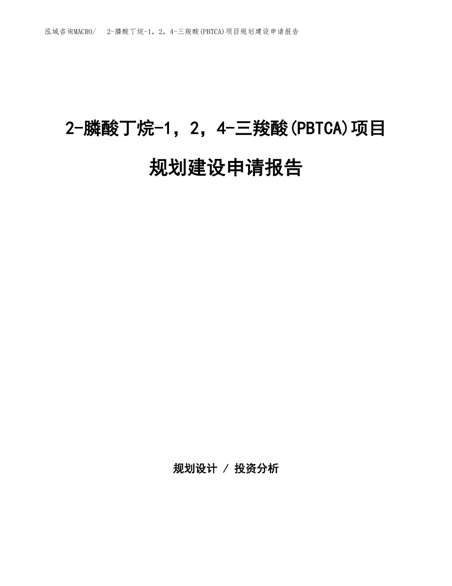 2-膦酸丁烷-1，2，4-三羧酸(PBTCA)项目规划建设申请报告范文.docx_第1页