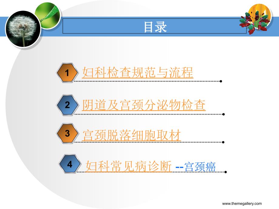 妇科检查规范;妇科常见病检查_第2页