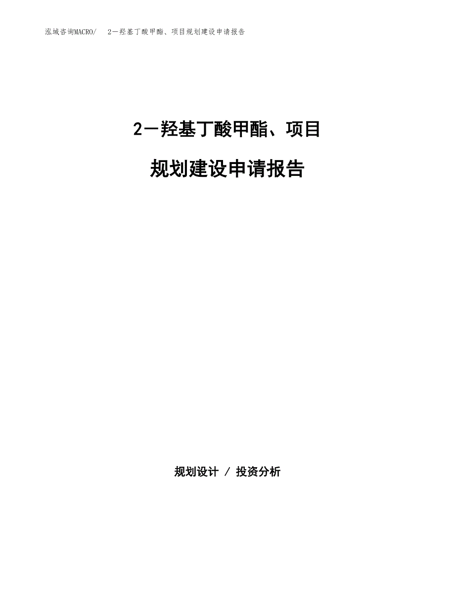 2－羟基丁酸甲酯、项目规划建设申请报告范文.docx_第1页