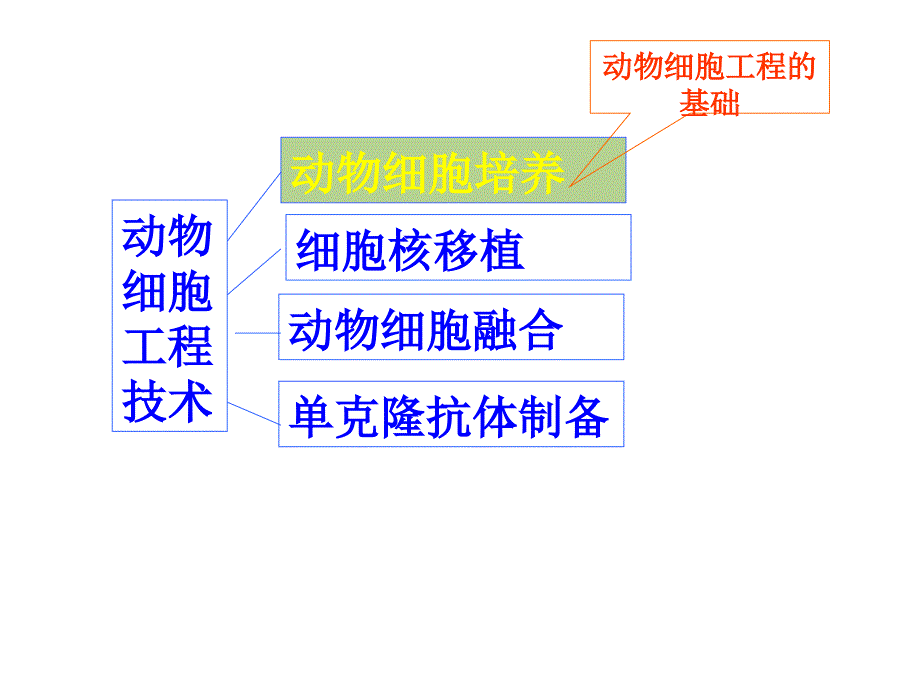 动物细胞工程上课_第3页