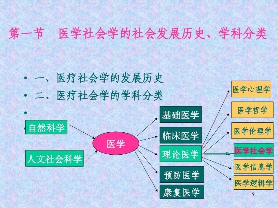 医学社会学-医学社会学1-1002_第5页