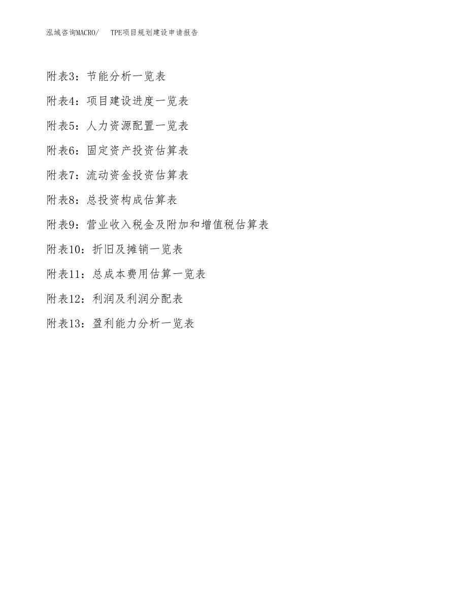 TPE项目规划建设申请报告范文.docx_第5页