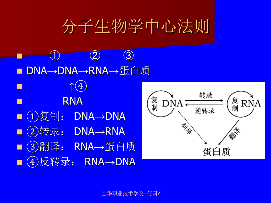 正常人体功能彭波李洪润单元5遗传信息的传递与表达_第2页