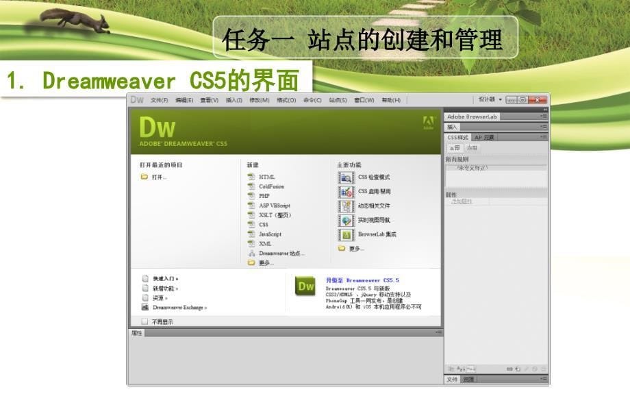 模块八网页制作DreamweaverCS5模块八网页制作DreamweaverCS5章节_第5页