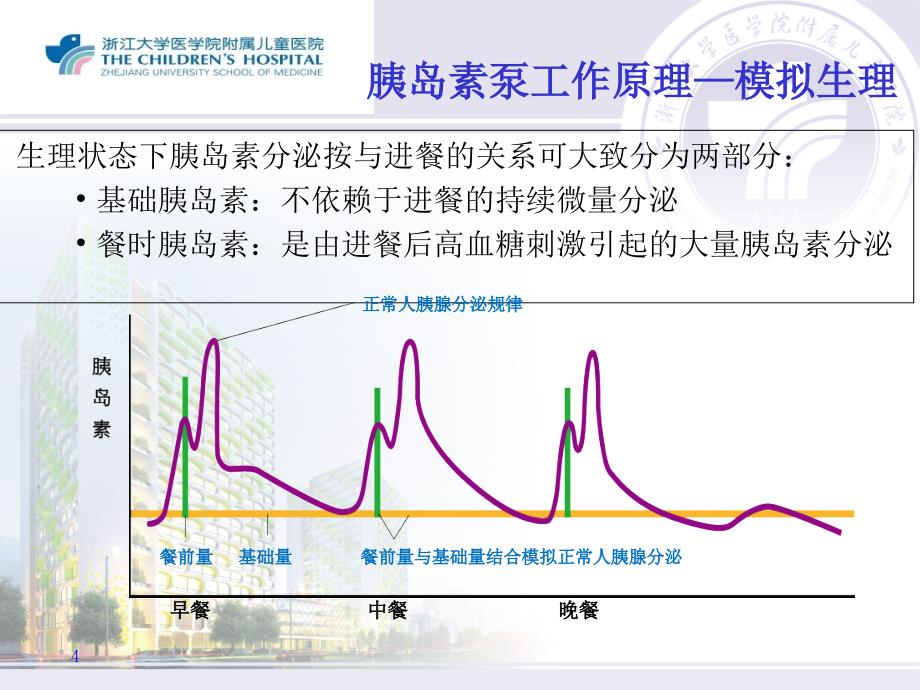 1型糖尿病的胰岛素泵治疗剂量调节-文档资料_第4页