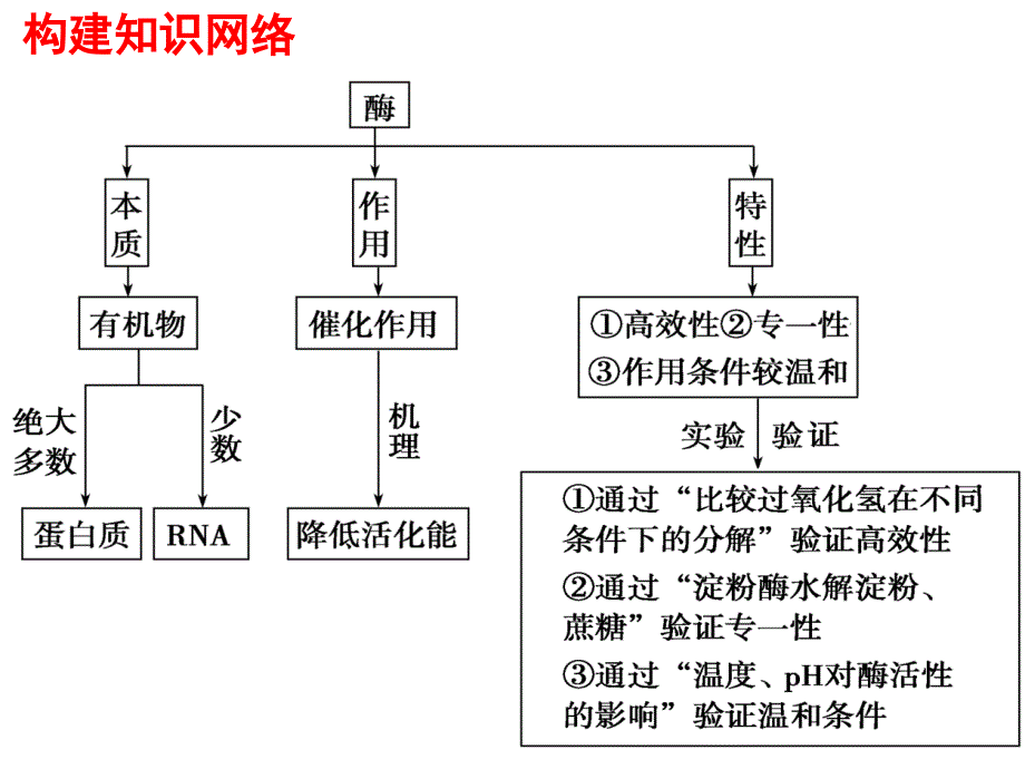 一轮复习酶与atp_第2页