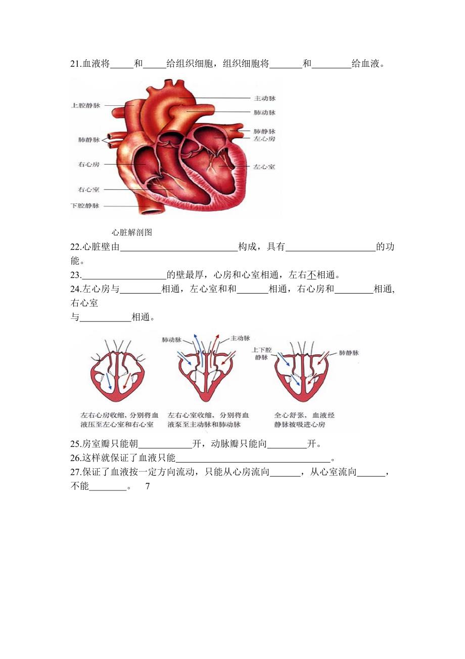 初一生物下册重点图_第4页