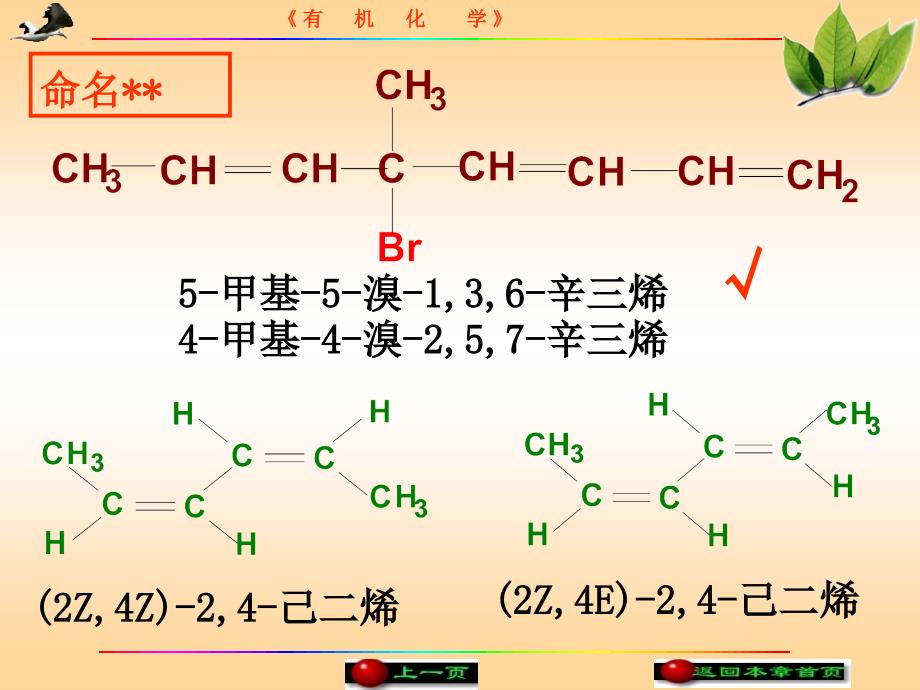 有机化学课件第二节二烯烃_第2页