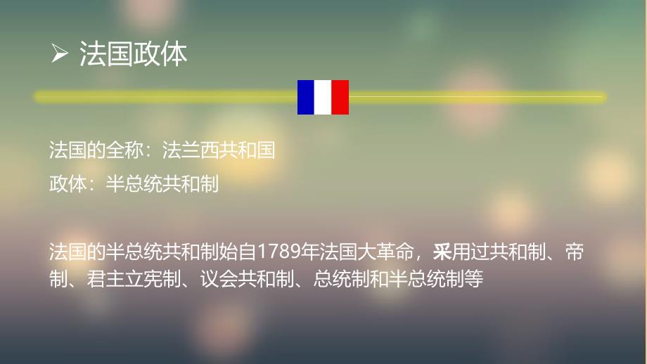 法国政治制度 政体、2017年大选、公务员制度_第4页