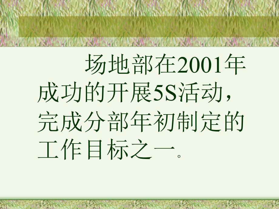 5s 6s管理_5s活动汇报_第2页