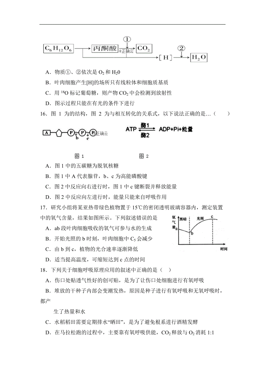 精校word版---江西省吉安市2018-2019高一下学期期中考试生物试卷_第4页