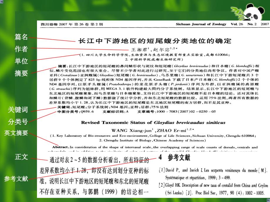 检索技术字段与检索词_第2页