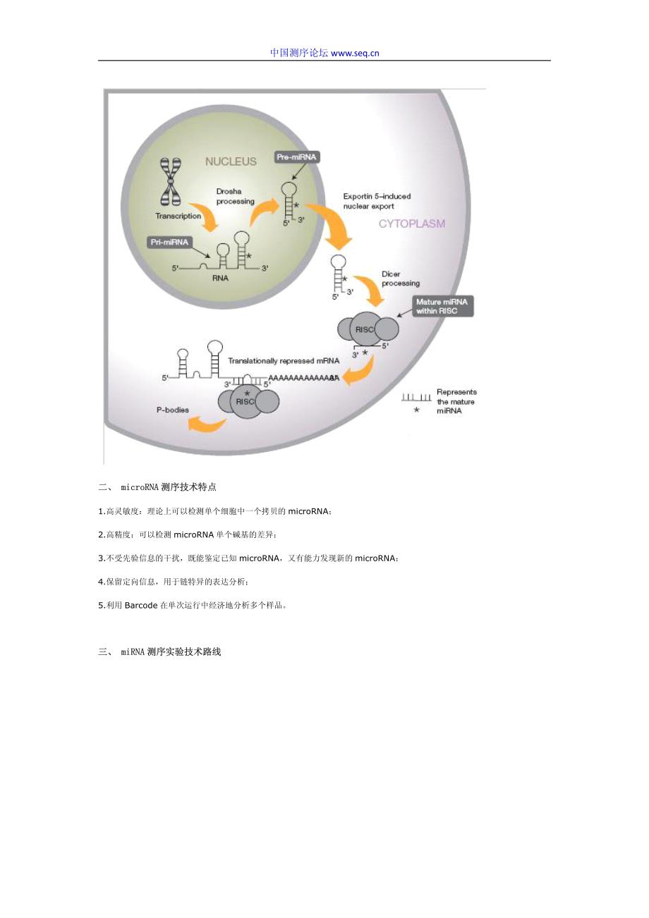 mirna测序概述及实验分析流程_第2页