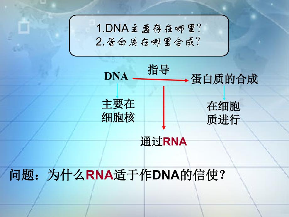 (课件)基因指导蛋白质的合成_第4页