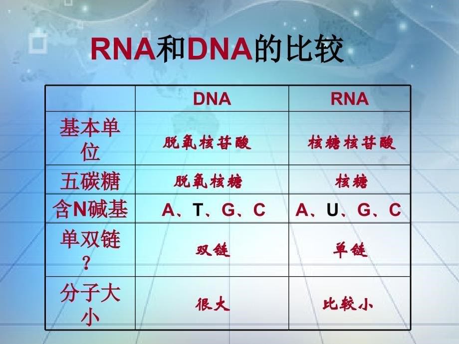 (课件)基因指导蛋白质的合成_第5页