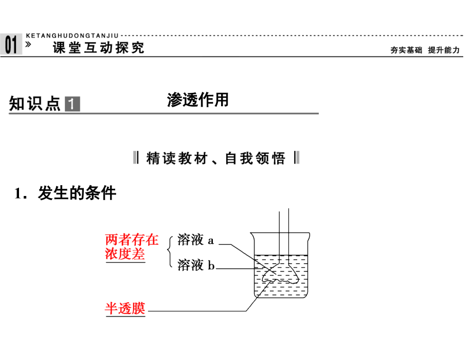 物质跨膜运输的实例必修_第4页