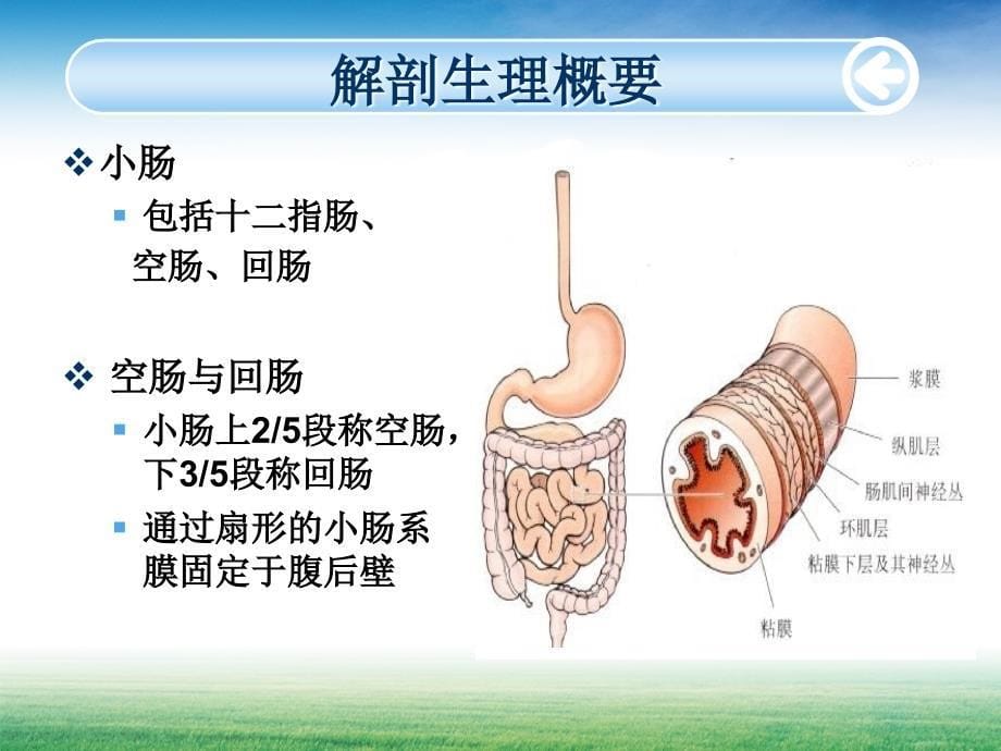 小肠疾病病人的护理wo_第5页