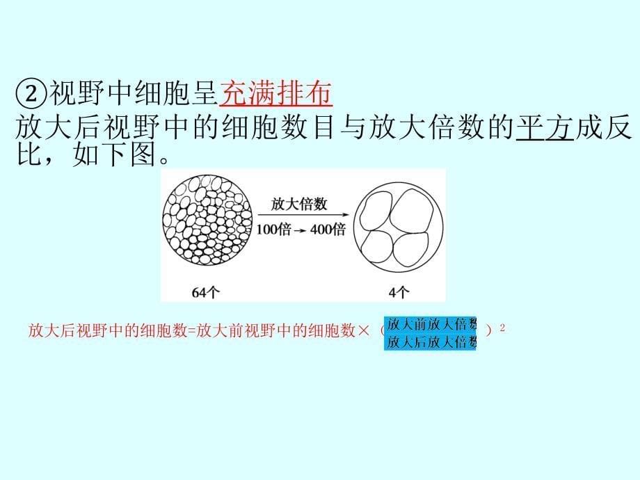 细胞的多样性和统一性-新_第5页