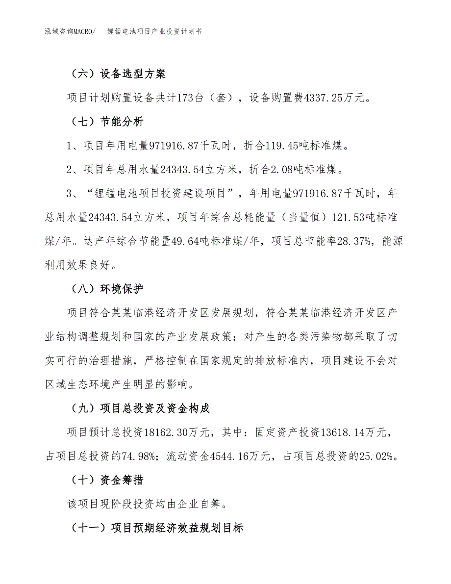 锂锰电池项目产业投资计划书.docx_第2页