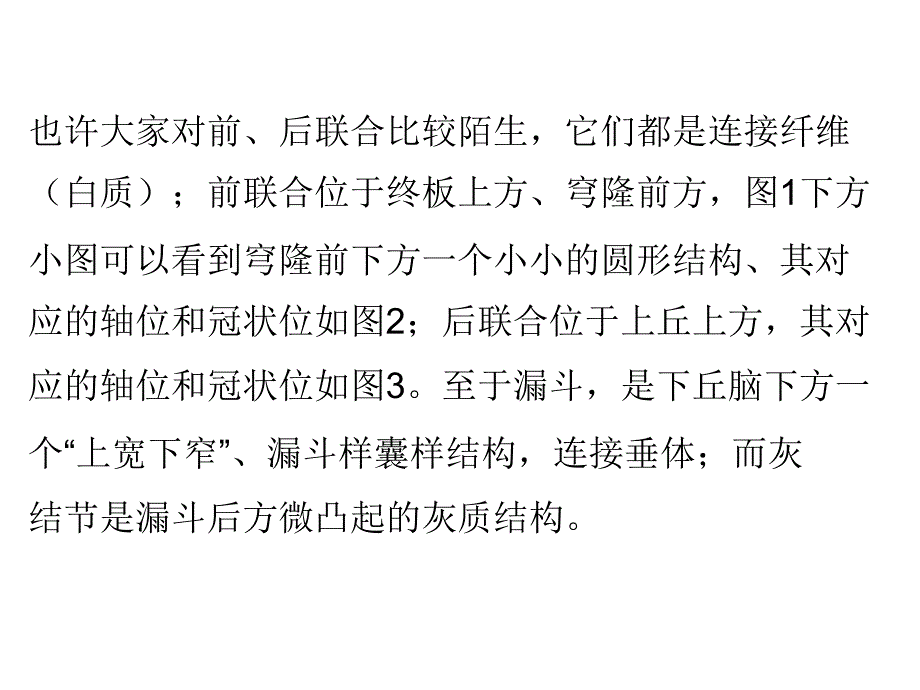 下丘脑影像解剖_第4页