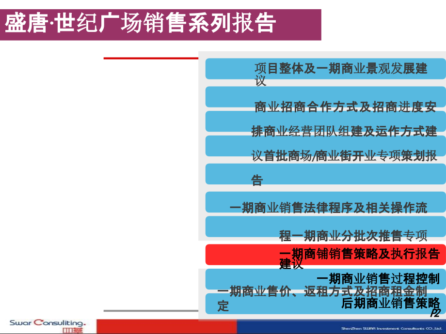 大型商业铺面销售策略及执行报告-模版_第2页