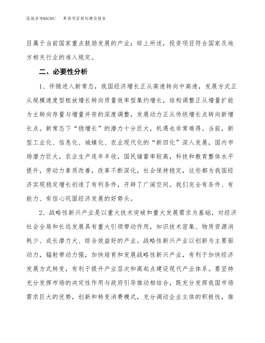 果袋项目规划建设报告.docx_第4页