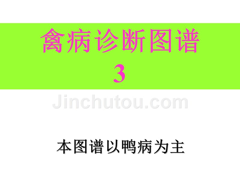 鸭病解剖图谱3_第1页