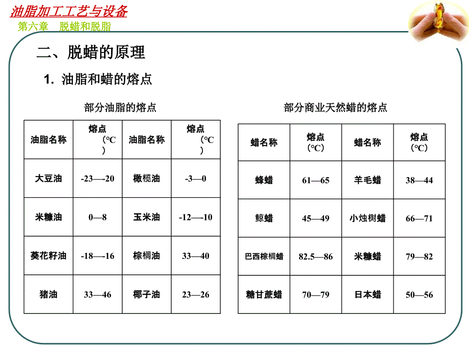 油脂加工工艺与设备培训课件_第4页