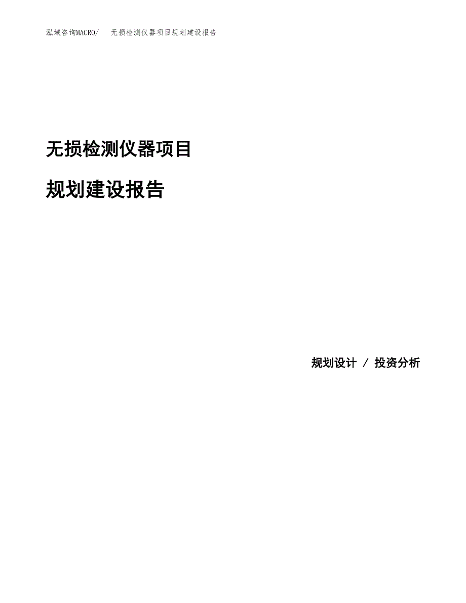 无损检测仪器项目规划建设报告.docx_第1页