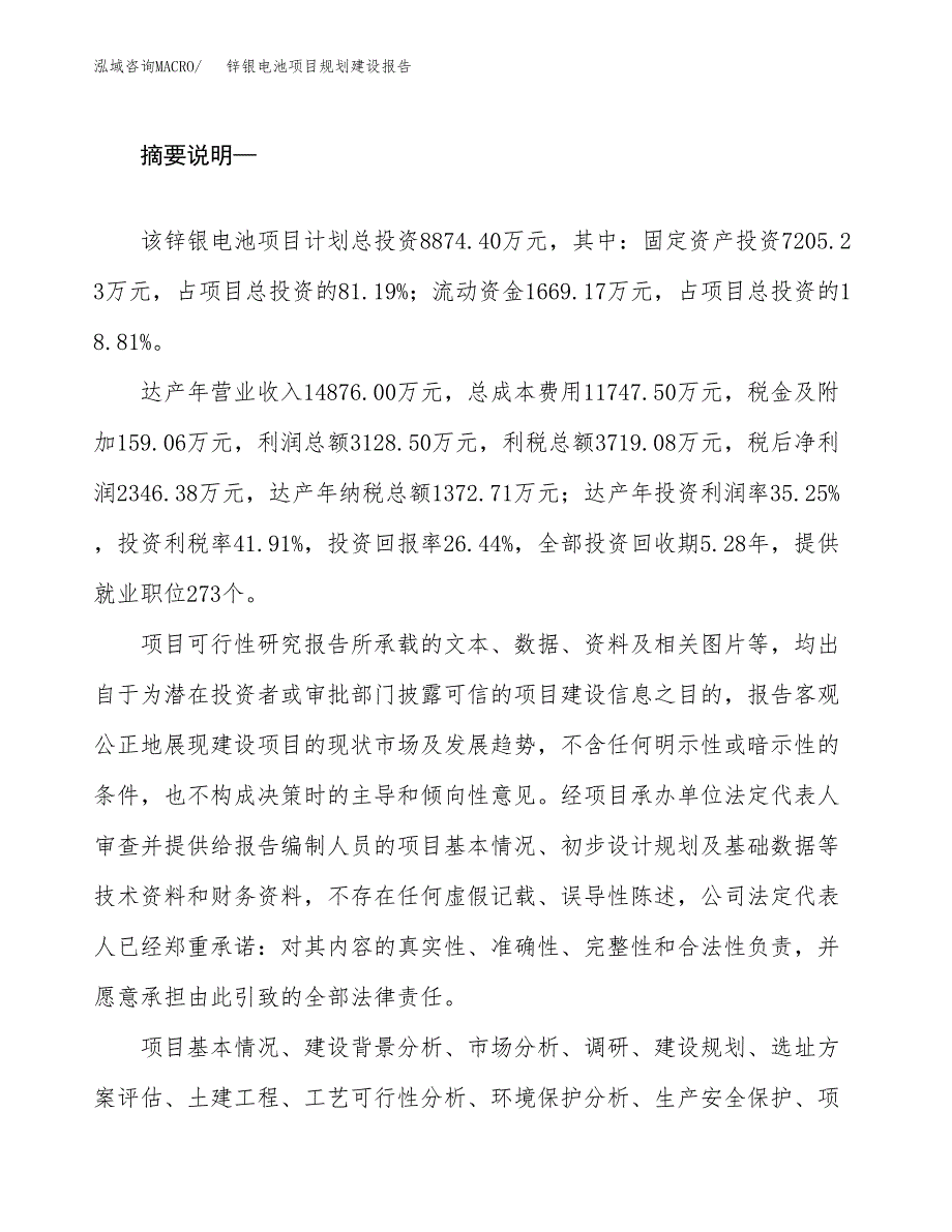 锌银电池项目规划建设报告.docx_第2页