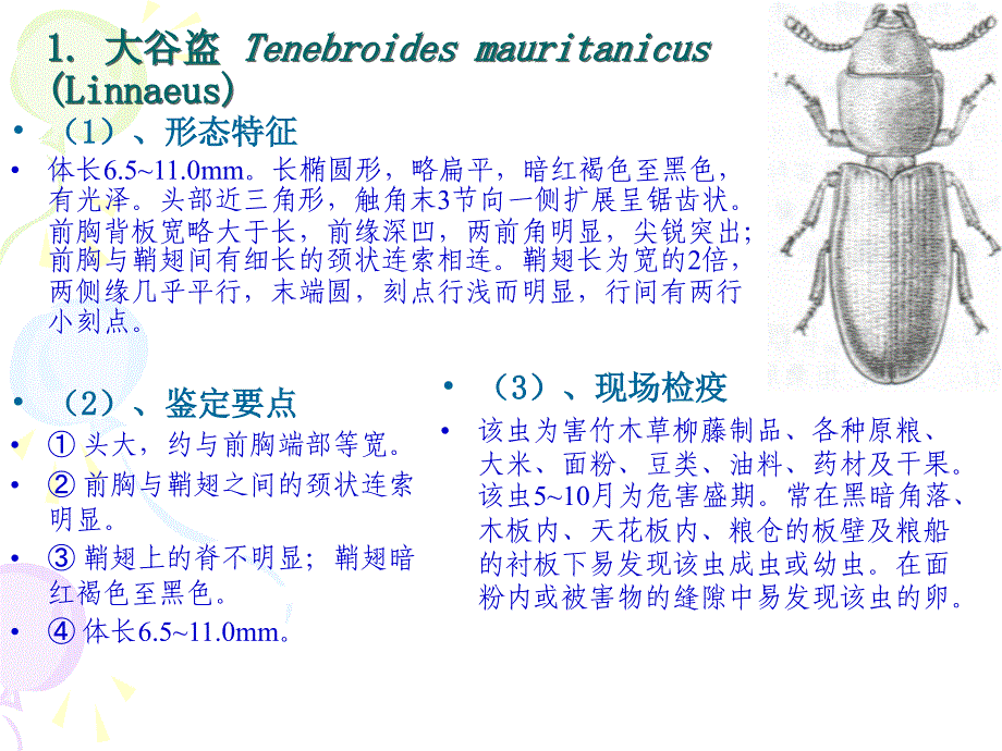 仓储害虫防制技术_第4页