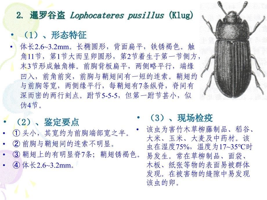 仓储害虫防制技术_第5页