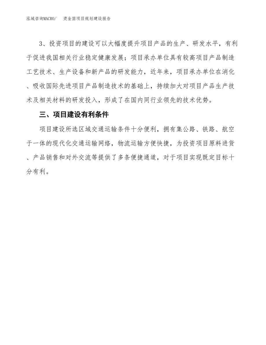 烫金箔项目规划建设报告.docx_第5页