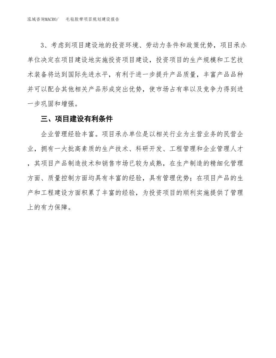 毛毡胶带项目规划建设报告.docx_第5页